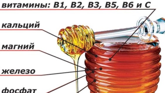 Химический состав меда — из чего состоит мед