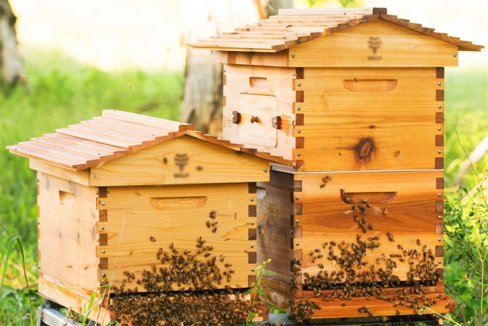 Как построить домик пчелам своими руками: пчеловод с нуля