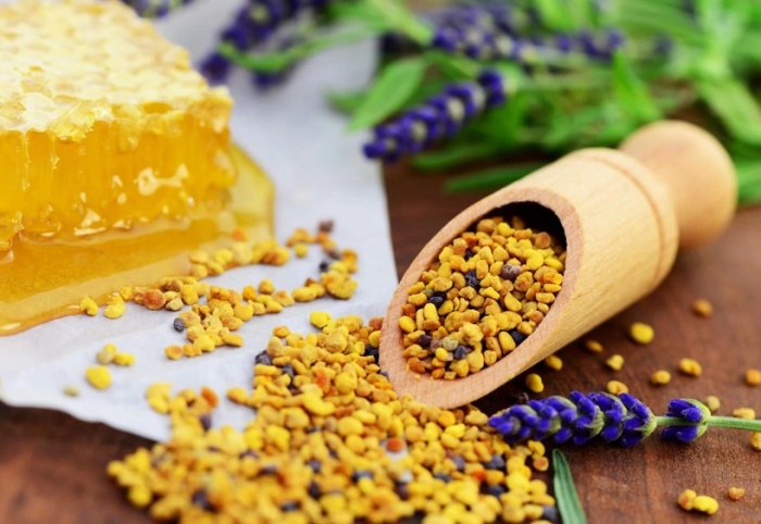 Полезные свойства пчелиной пыльцы и суточная норма для взрослого